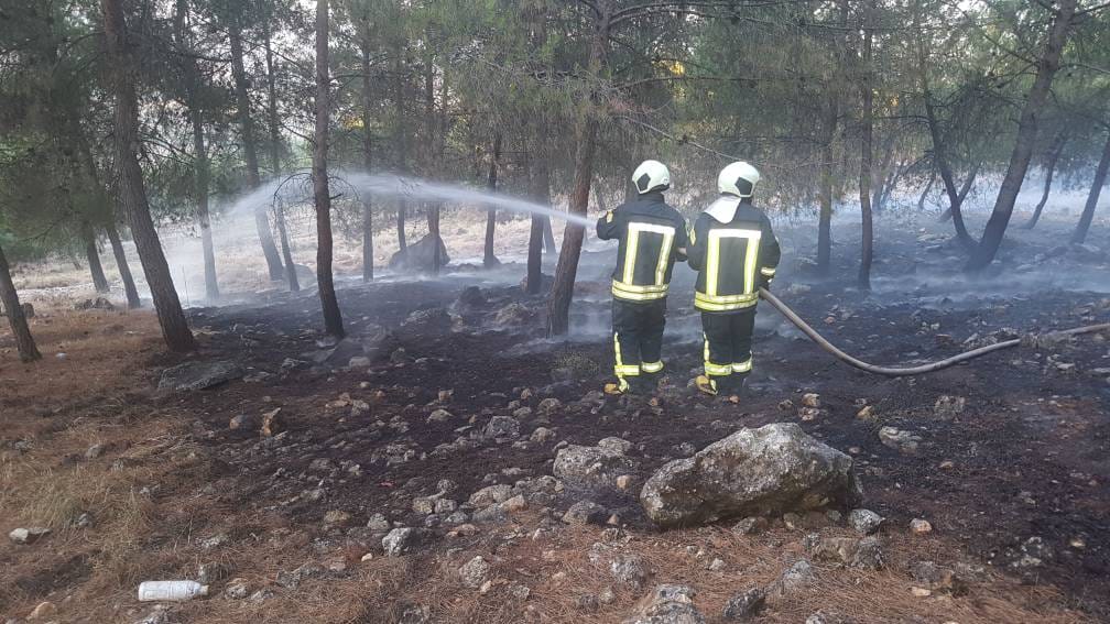 Daristanên Efrînê tên şewitandin