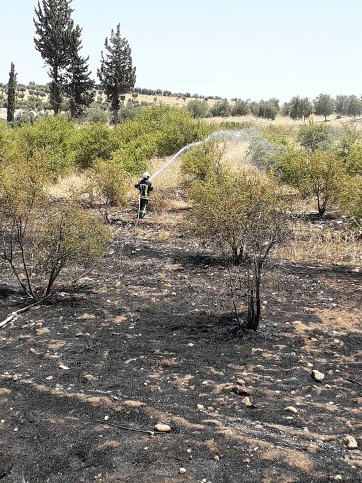 Daristanên Efrînê tên şewitandin