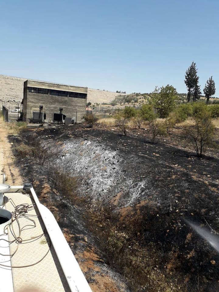 Daristanên Efrînê tên şewitandin