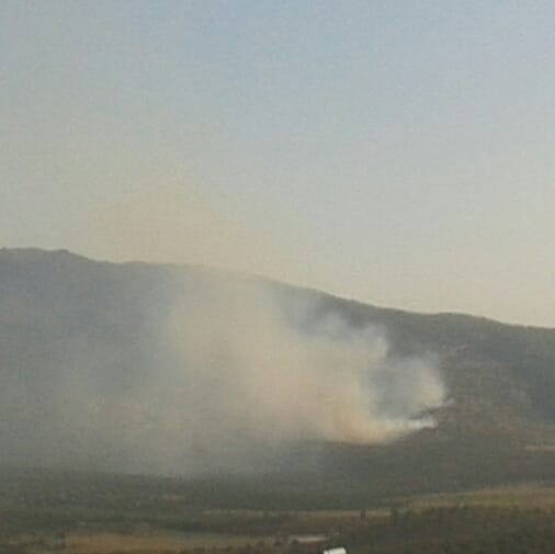 Daristanên Efrînê tên şewitandin