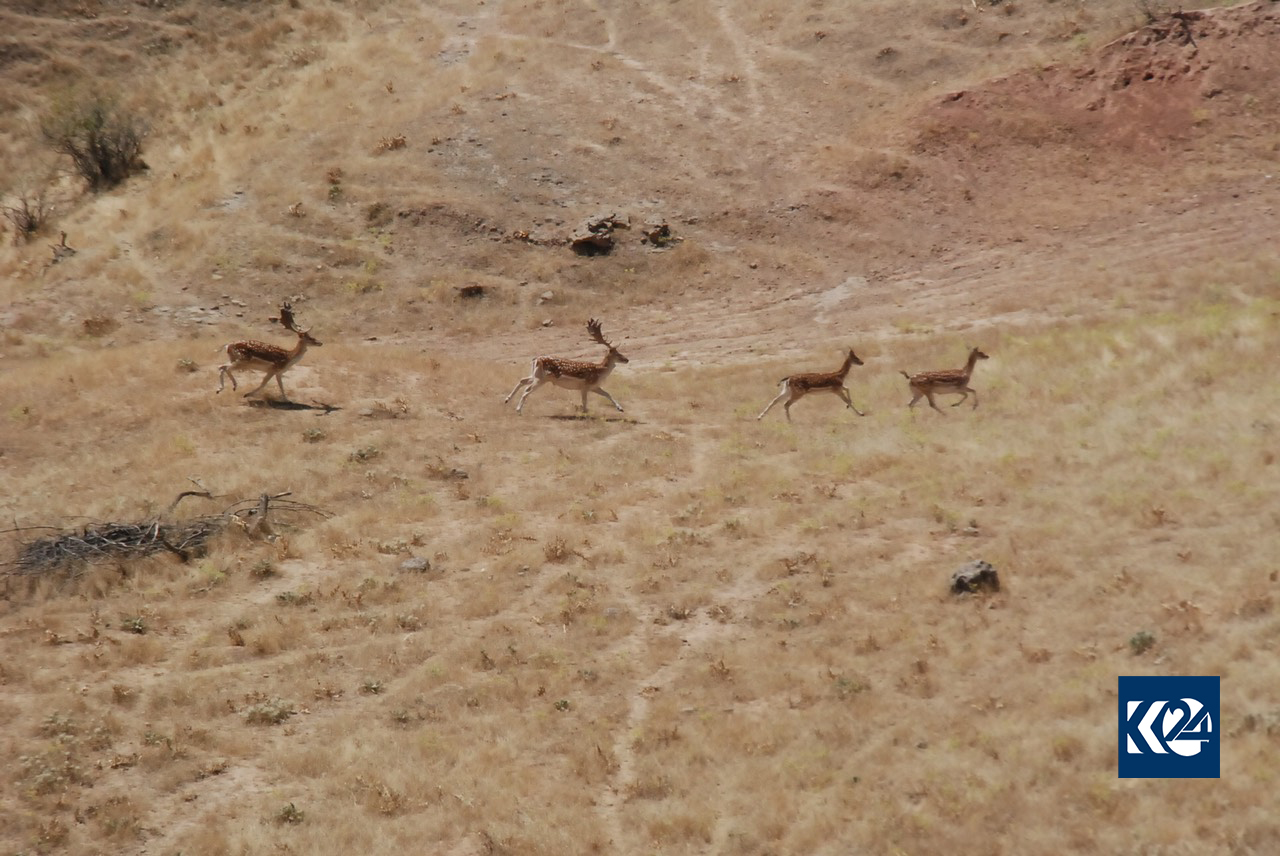 في كوردستان.. قرية لها قوانينها الخاصة (بالصور)