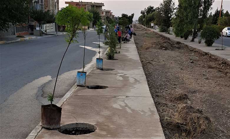 Volunteers planted trees in Halabja, Aug. 3, 2018. (Photos: Kurdistan 24/Wladimir van Wilgenburg)