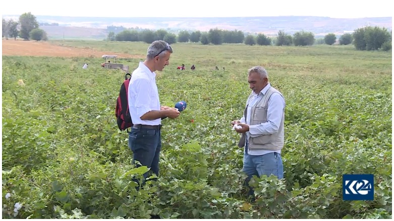 Cotkar: Berê pembûya îsal baş e lê lêçûn zêde ye