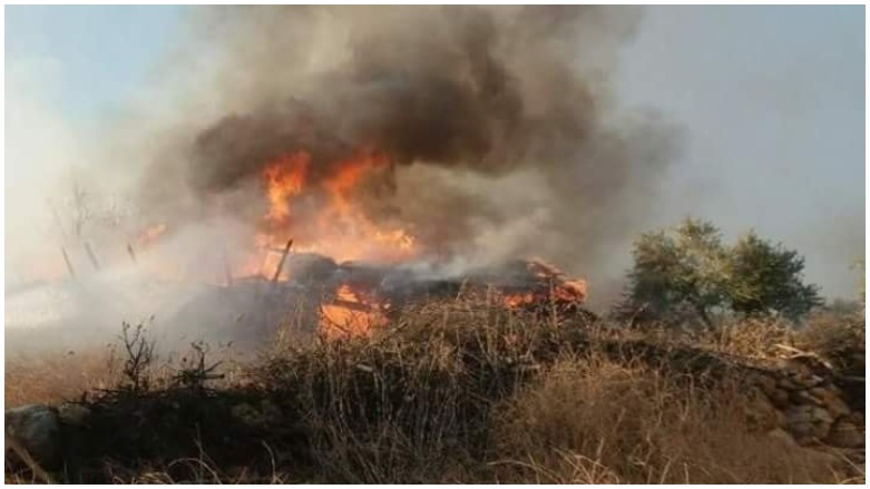 Pêxistina agir li nav daristanên Efrînê berdewam e 