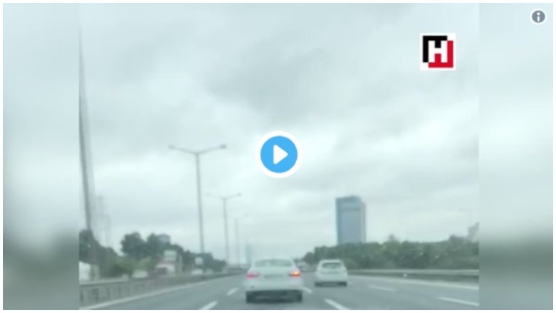 پشیلەیەک دەبێتە هۆی پێکدادانی چەند ئۆتۆمبێلێک