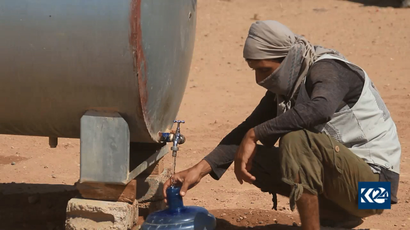 بالصور.. عقارب قاتلة و 