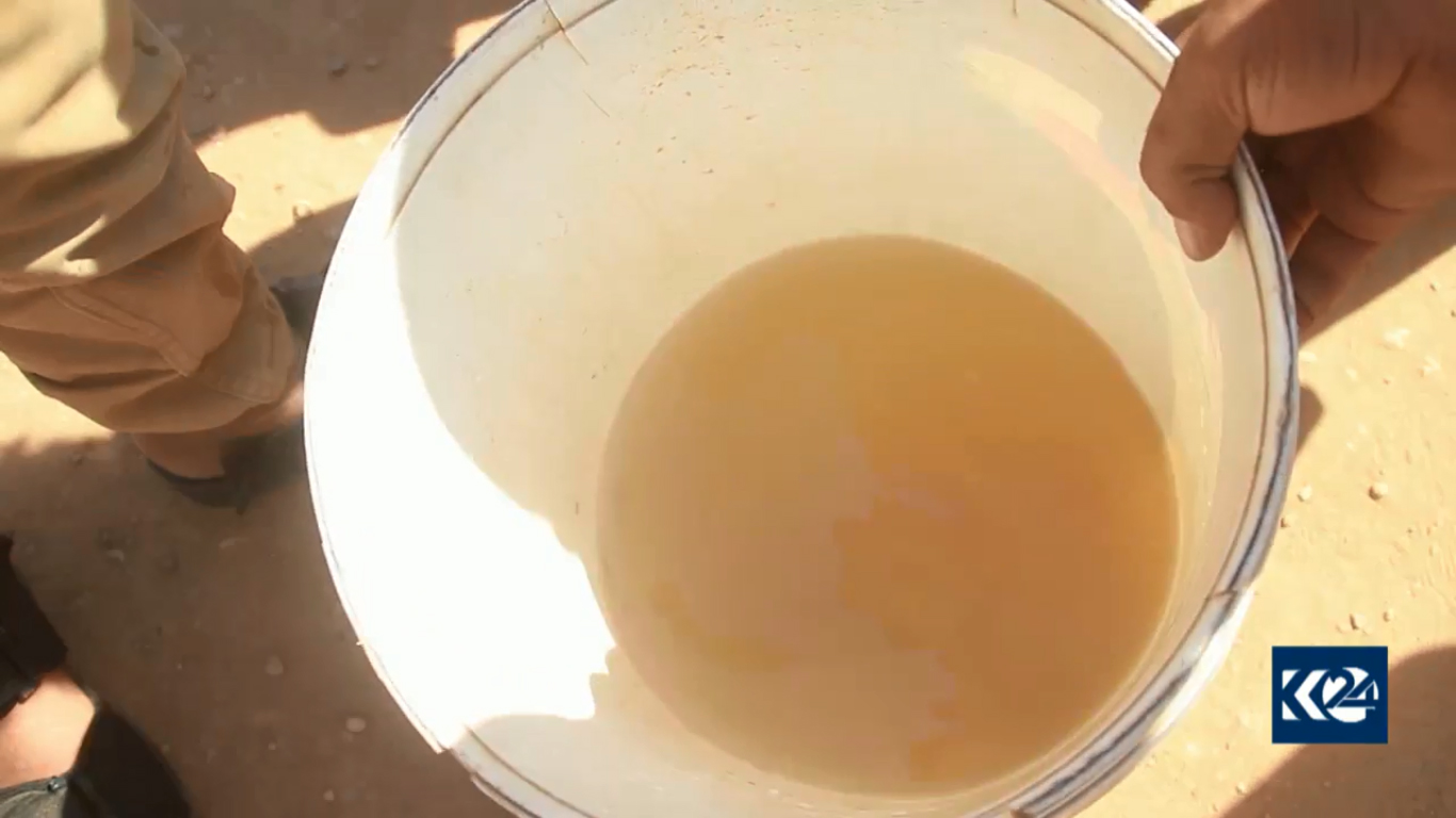 بالصور.. عقارب قاتلة و 