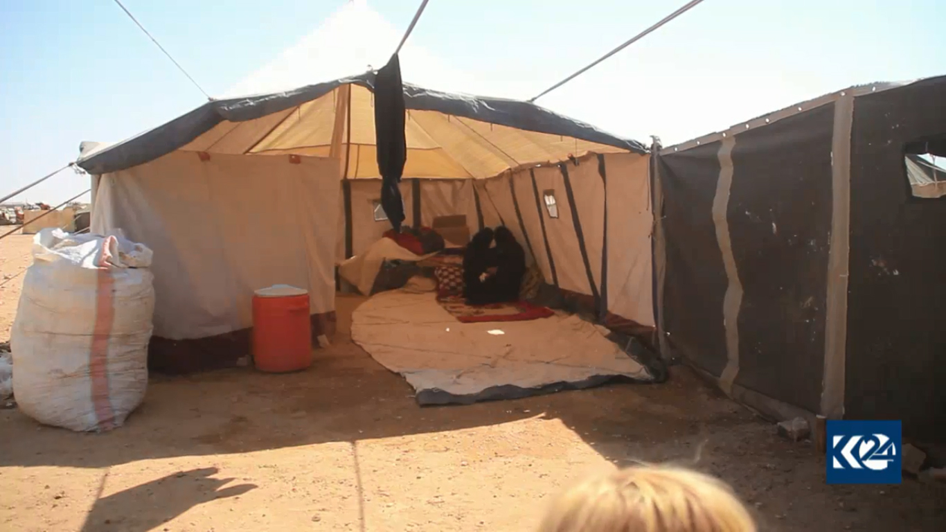 بالصور.. عقارب قاتلة و 