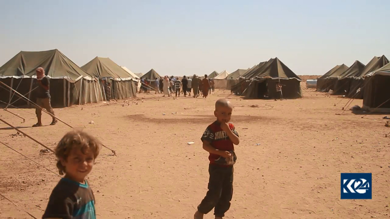 بالصور.. عقارب قاتلة و 