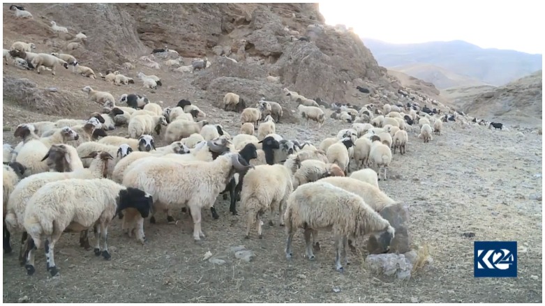 Miya Nordizê bi taybetiyên xwe mijara lêkolînên zanistî ye