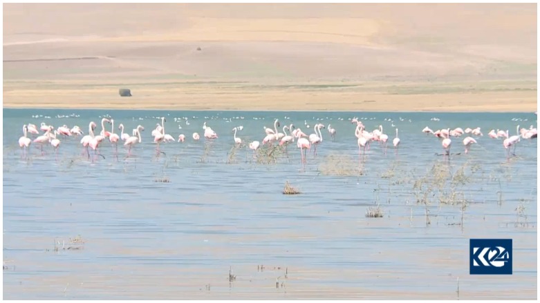 8. Mîhrîcana Qulingan bi dîmenên balkêş hat lidarxistin