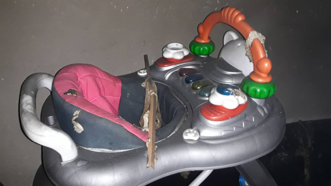 من بين الضحايا اربعة اطفال (صورة: كوردستان 24)