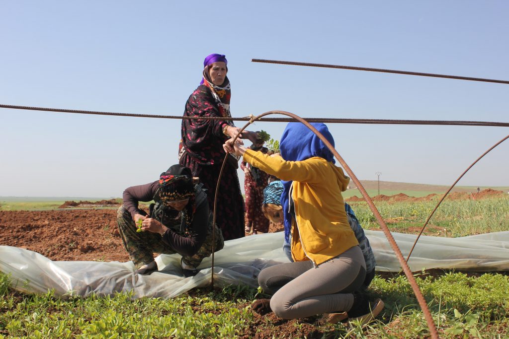 دهکده زنان در غرب کردستان افتتاح شد