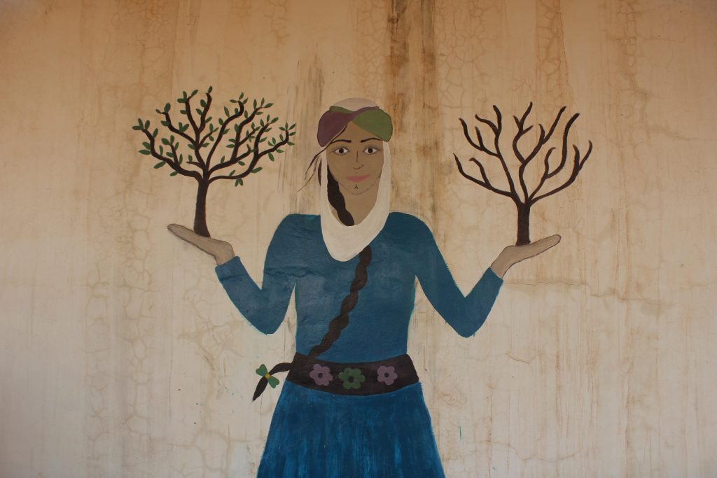 دهکده زنان در غرب کردستان افتتاح شد