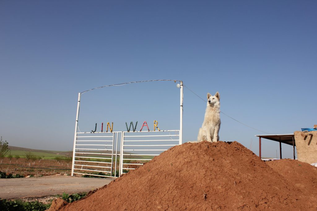 دهکده زنان در غرب کردستان افتتاح شد