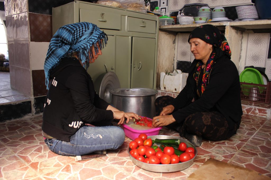 دهکده زنان در غرب کردستان افتتاح شد