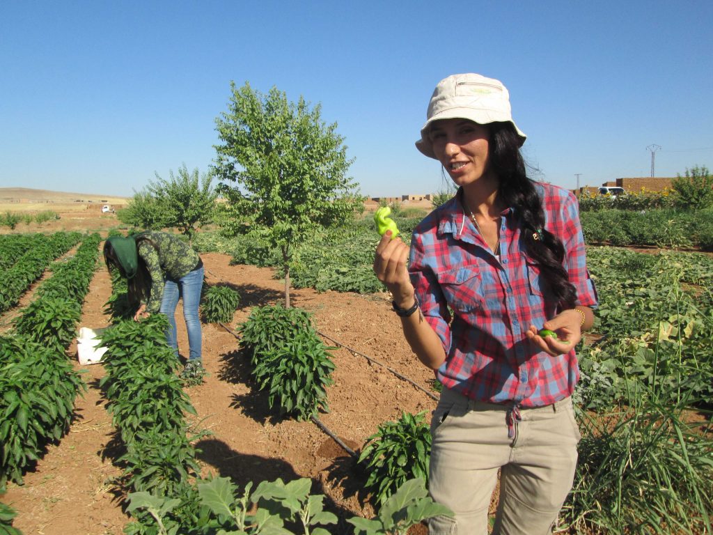 دهکده زنان در غرب کردستان افتتاح شد