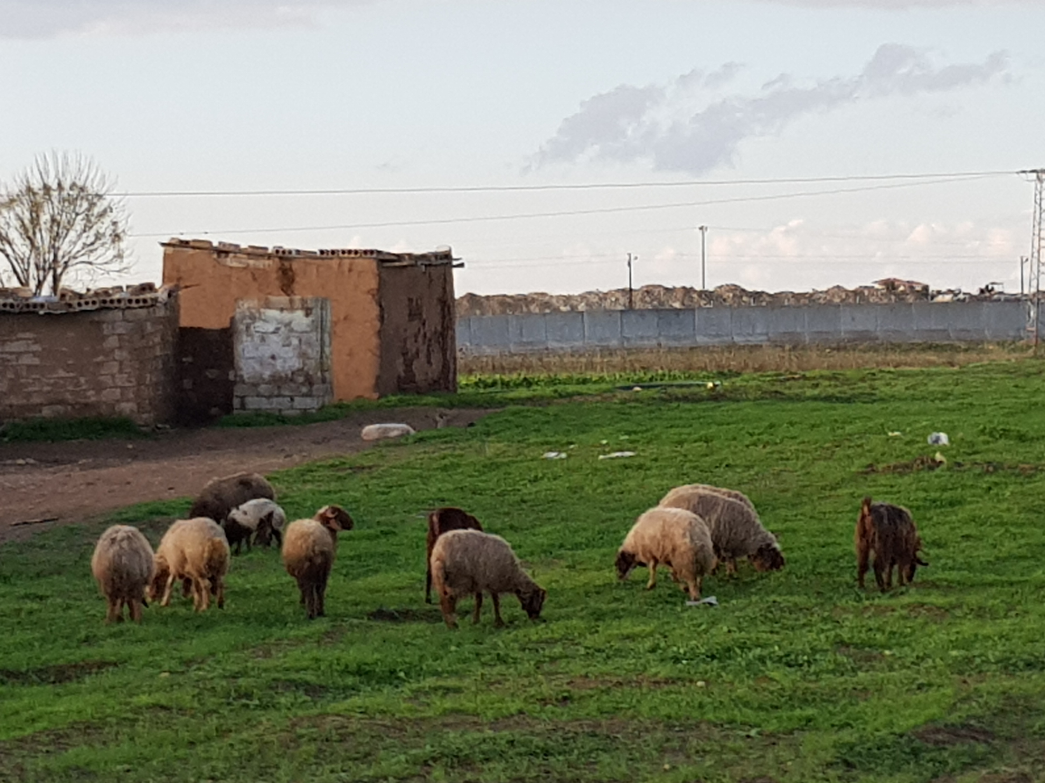 No removal of border walls amid Turkish threats, but fear remains in Serekaniye