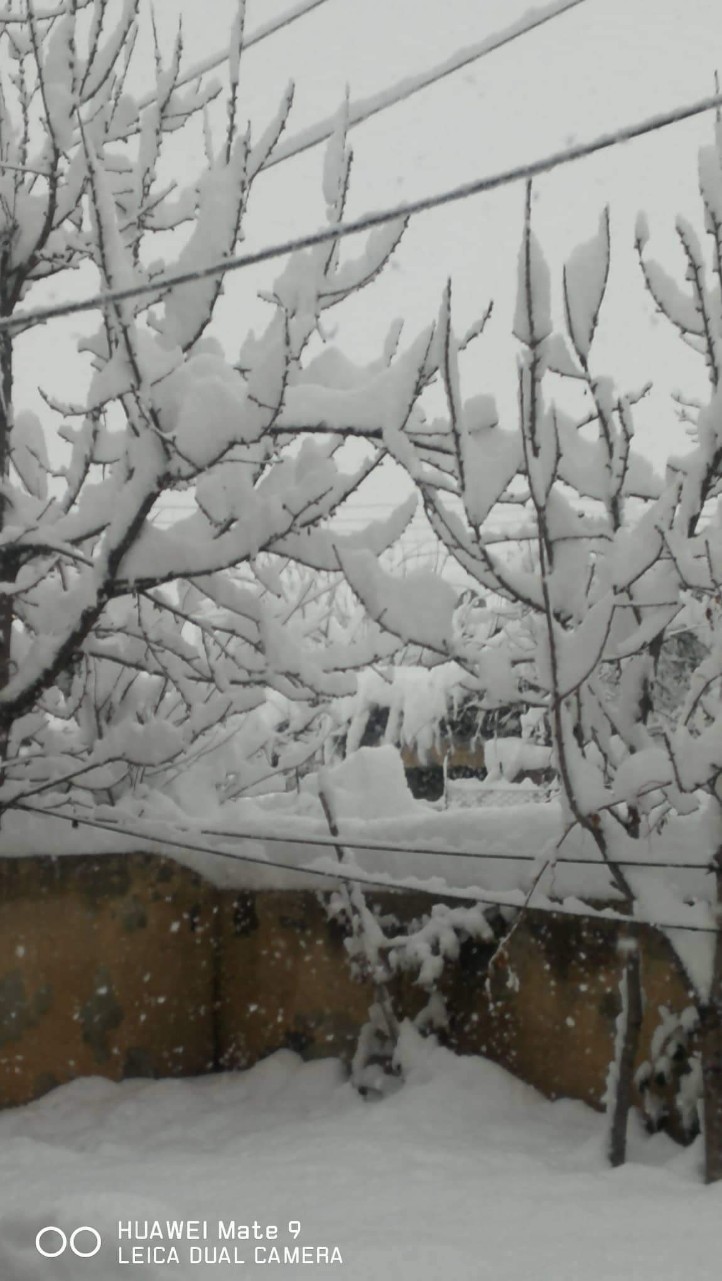  بەفربارین چەند ناوچەیەكی ھەرێمی كوردستانی گرتەوە