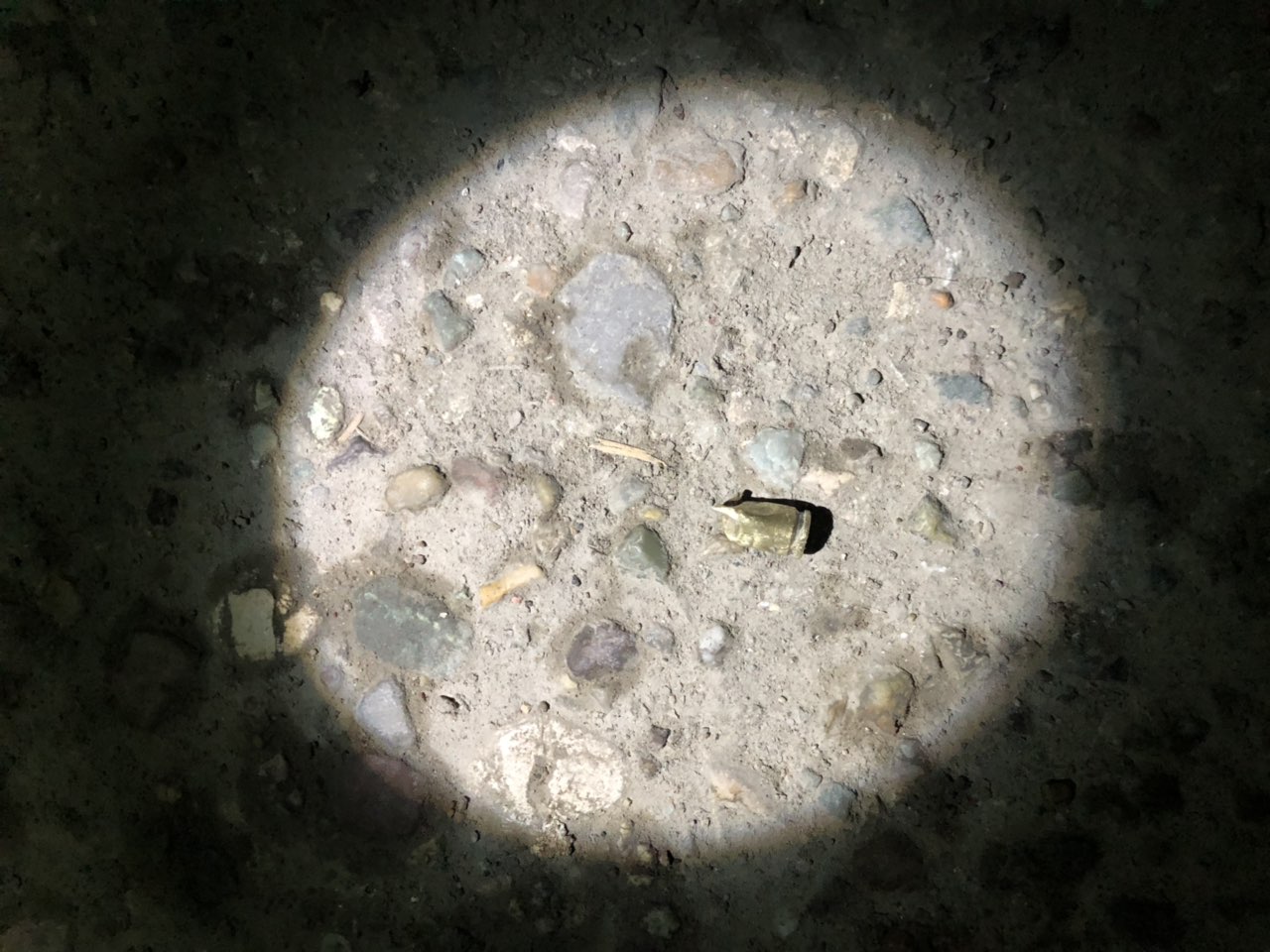  كادیرێكی پارتی لە كەركووك تیرۆر كرا