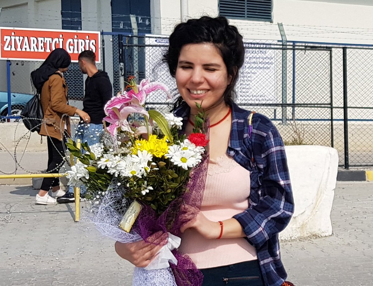 Kurdish artist Zehra Doğan released from Turkish prison after 20-month imprisonment