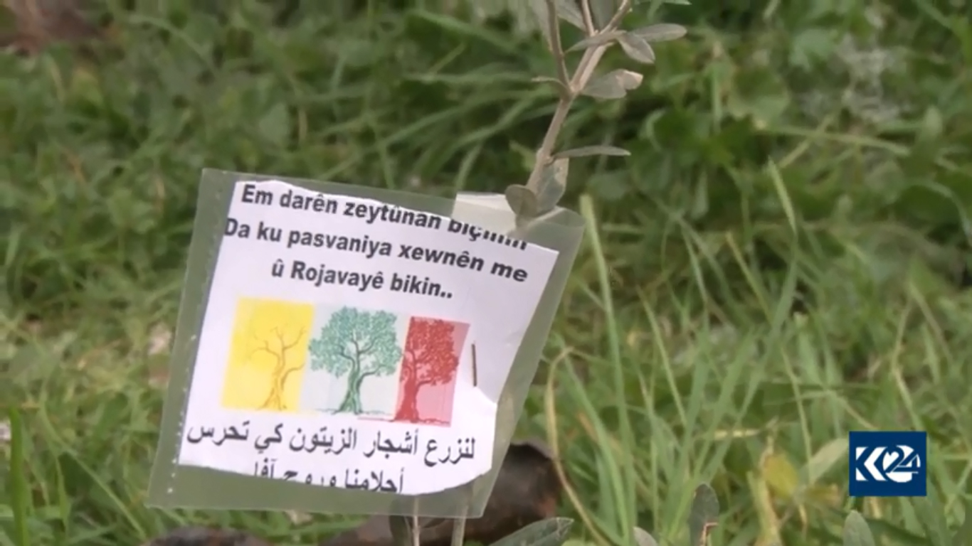 بالصور.. قافلة الزيتون تصل القامشلي وتزرع بعدد قرى عفرين