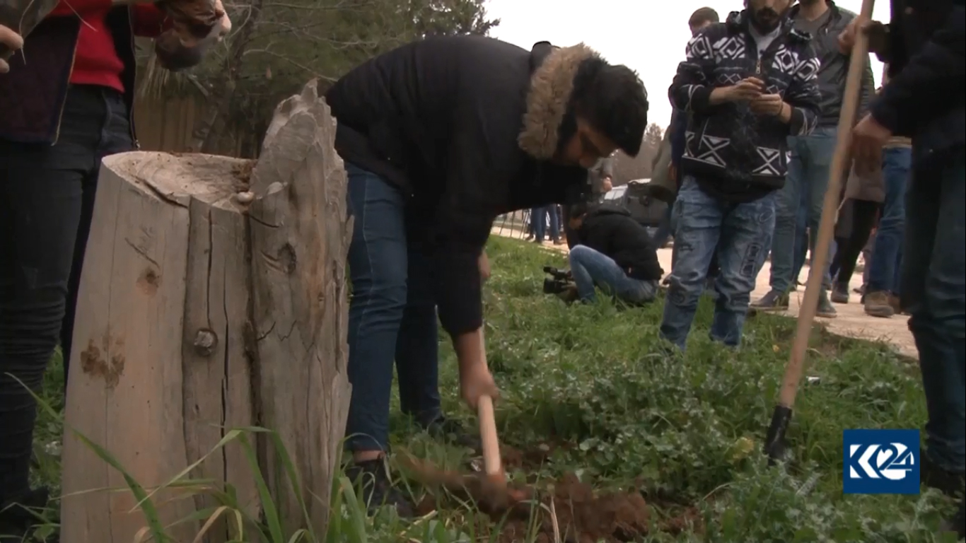 بالصور.. قافلة الزيتون تصل القامشلي وتزرع بعدد قرى عفرين