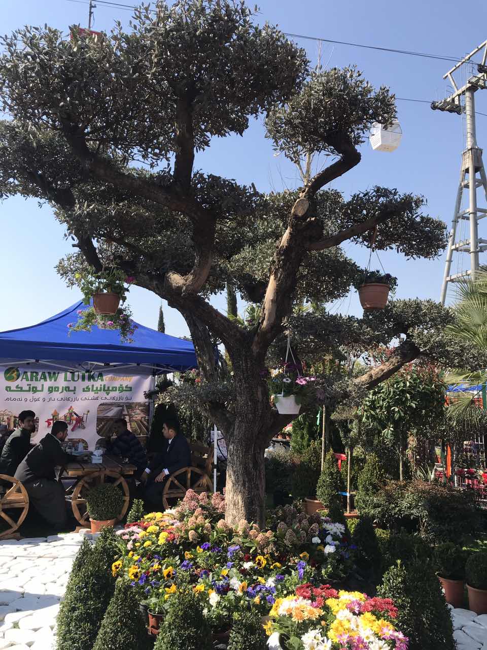 پێشانگای گوڵ لە ھەولێر كرایەوە