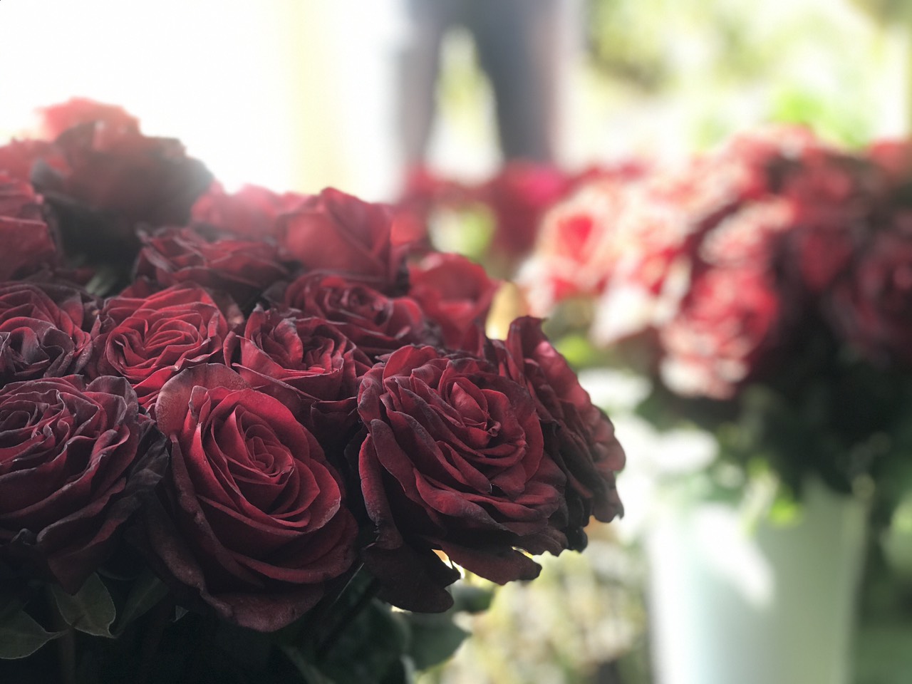 پێشانگای گوڵ لە ھەولێر كرایەوە