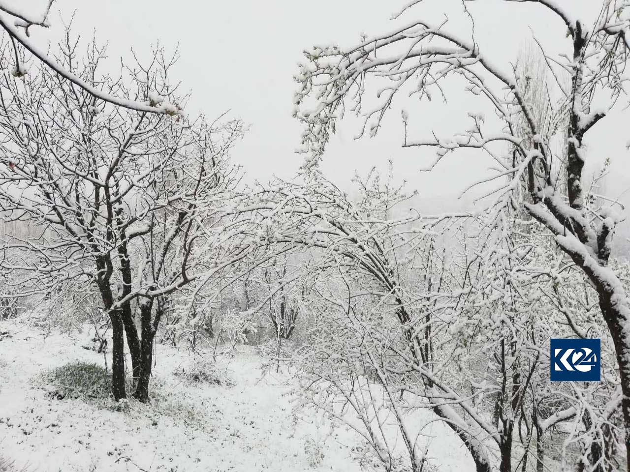 شەپۆلێكی بەفربارین چەند ناوچەیەكی ھەرێمی كوردستانی گرتەوە