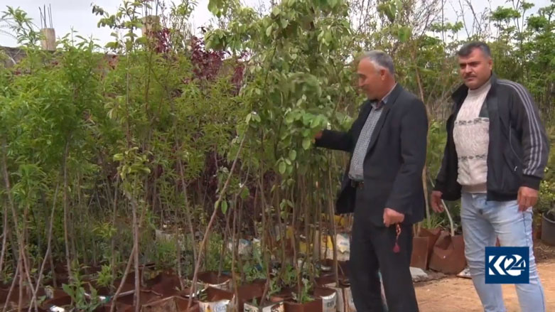 Li Qamişlo çanda çandiniya daran zêde bûye