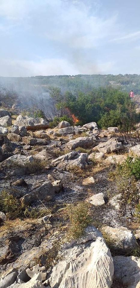 Agir bi çiya û daristanên Efrînê ket
