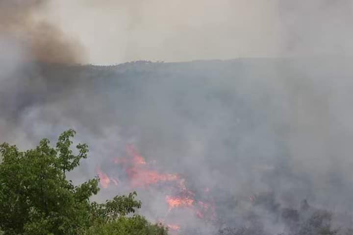 Agir bi çiya û daristanên Efrînê ket