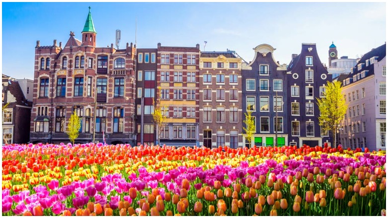 Hollanda dixwaze hejmara geştyaran kêm bike