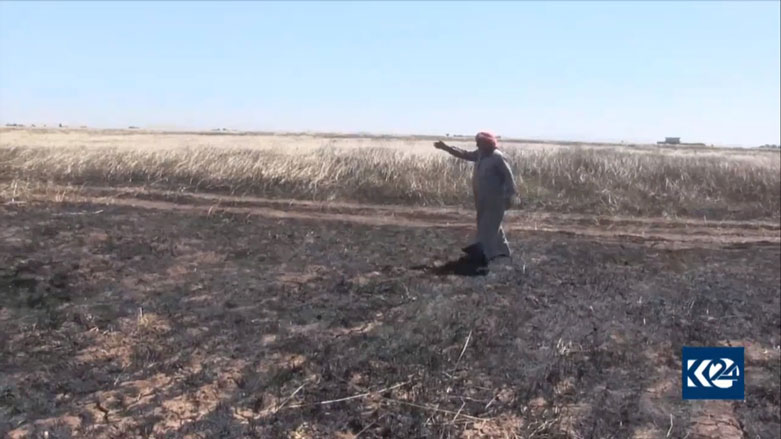 Agir bi ceh û genimê 10 gundên Kobanê ket 