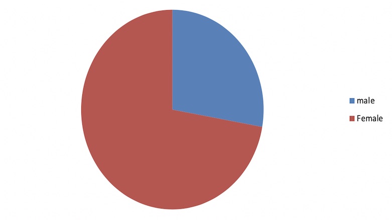 Gender Profile. (Source: Author)