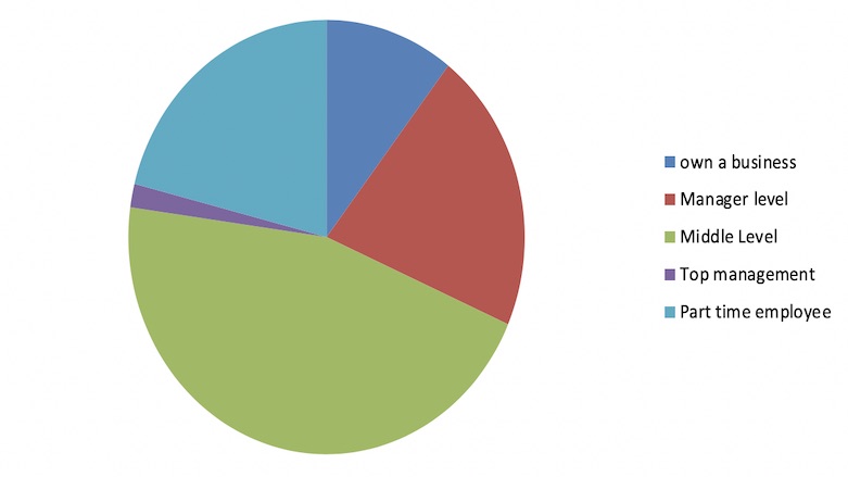 Occupational Profile. (Source: Author)