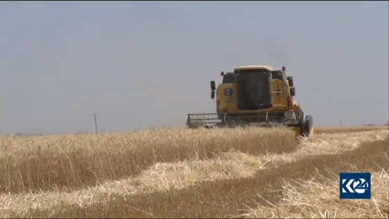 Li Rojava ceh û genim bi du nirxên cuda ne tên kirîn! 