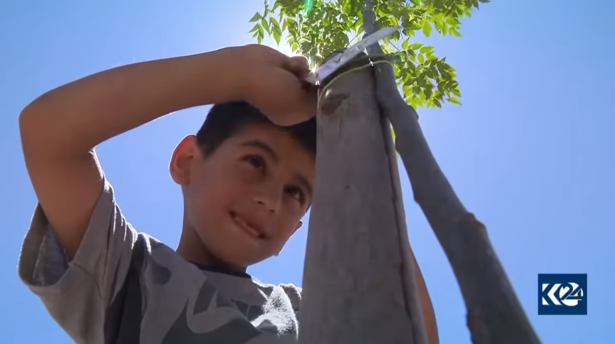 له‌ سلێمانی دوای سكاڵای منداڵێك شاره‌وانی نه‌مامێكی بۆ ده‌ڕوێنێت