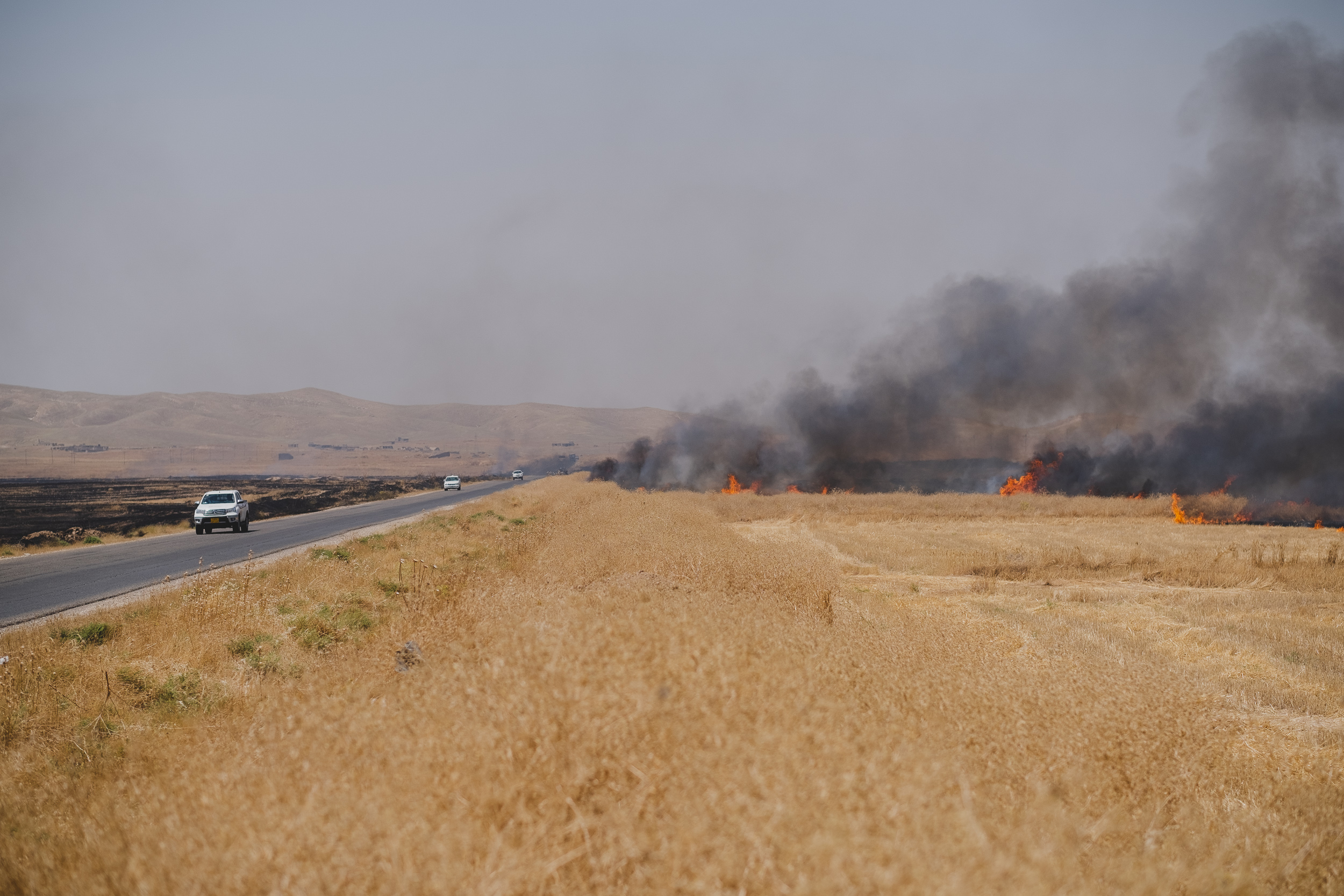 Fires jumped the road from the cement factory to south of Golat and burned to Tal Afar. (Photo: Kurdistan 24/Levi Clancy)