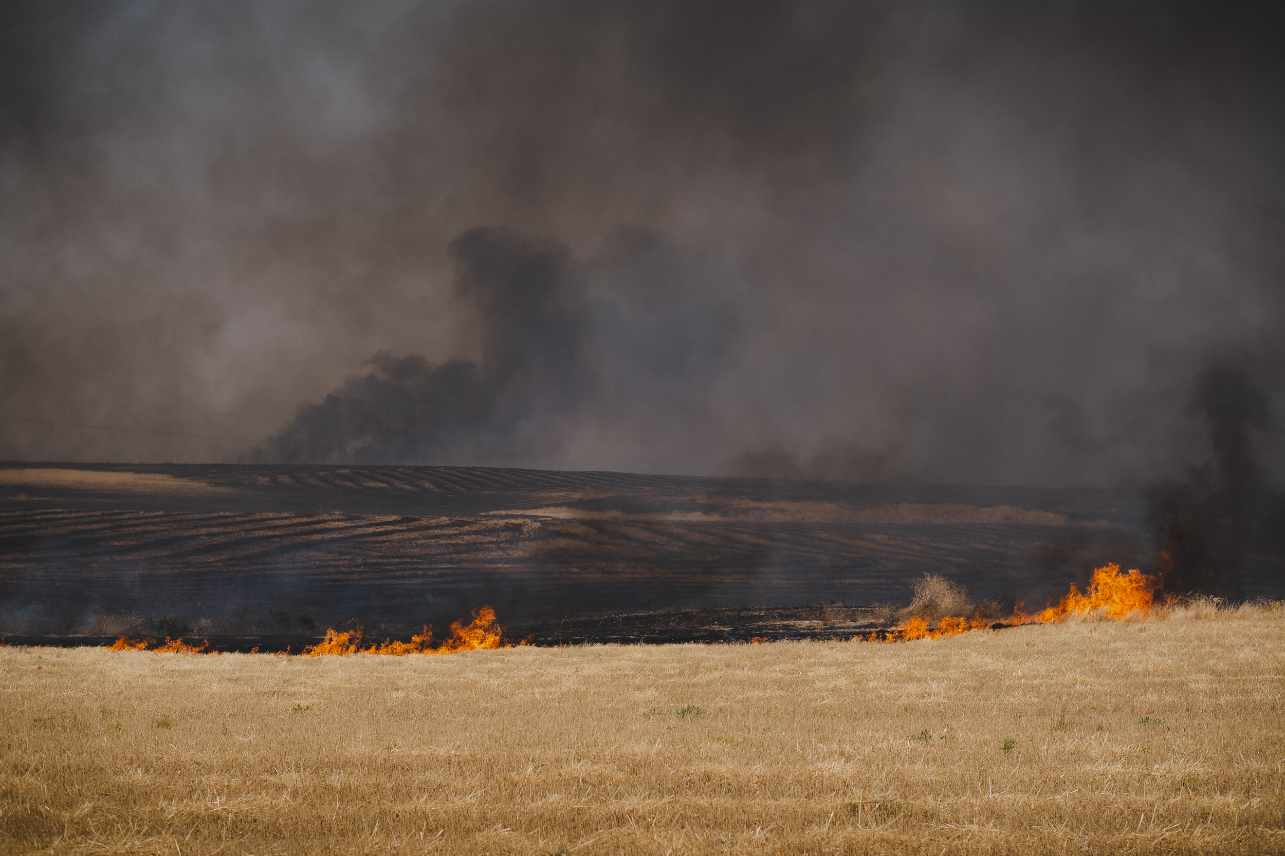 Over 100,000 donums have been scorched. (Photo: Kurdistan 24/Levi Clancy)