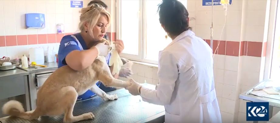 Stargeha ajelan a Diyarbekirê ajelên bêxwedî kom dike