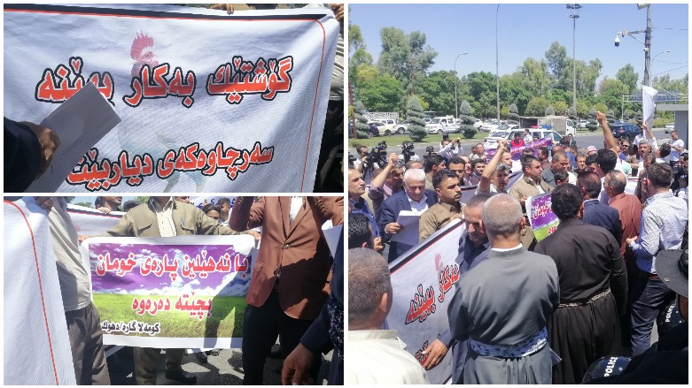 خاوەنی کێڵگە پەلەوەرییەکان داوای راگرتنی هاوردەی مریشک دەکەن