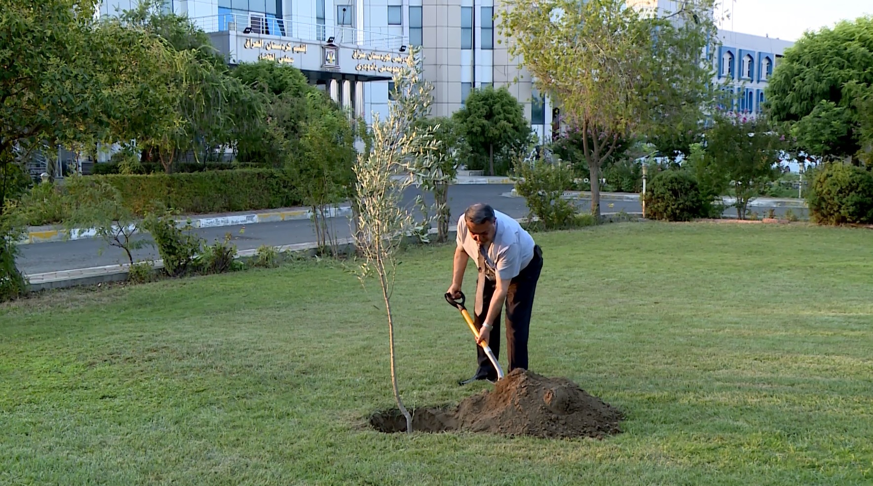 سه‌رۆكی ئه‌نجوومه‌نی دادوه‌ری به‌ چاندنی دارێك وه‌ڵامی چاڵنجی مه‌سرور بارزانی دایه‌وه‌