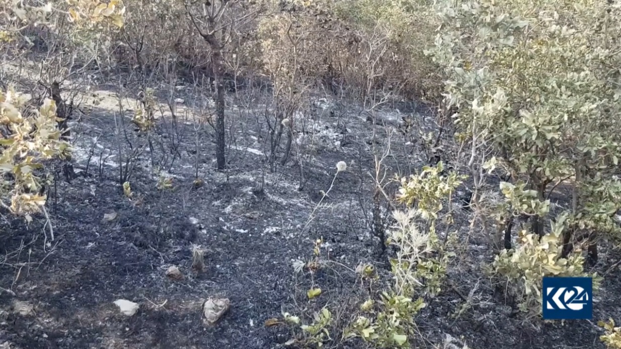 سه‌دان دۆنم له‌ دارستانه‌كانی رۆژهه‌ڵاتی كوردستان سووتان
