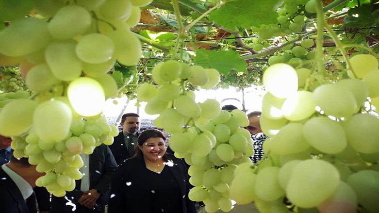 رەزی جوتیارێك لە زاوێتە وەزیری كشتوكاڵ سەرسام دەكات