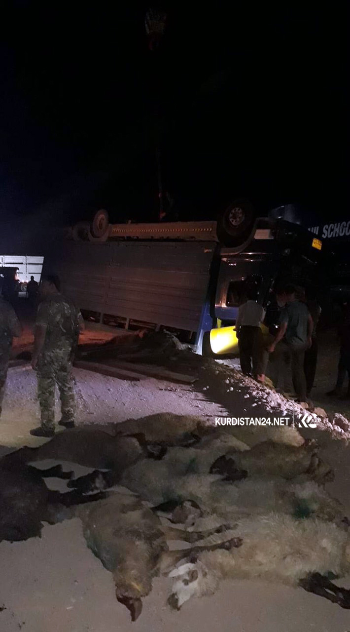 لە رووداوێكی ھاتووچۆدا لە گەرمیان 20 سەر مەڕ مردار بوونەوە