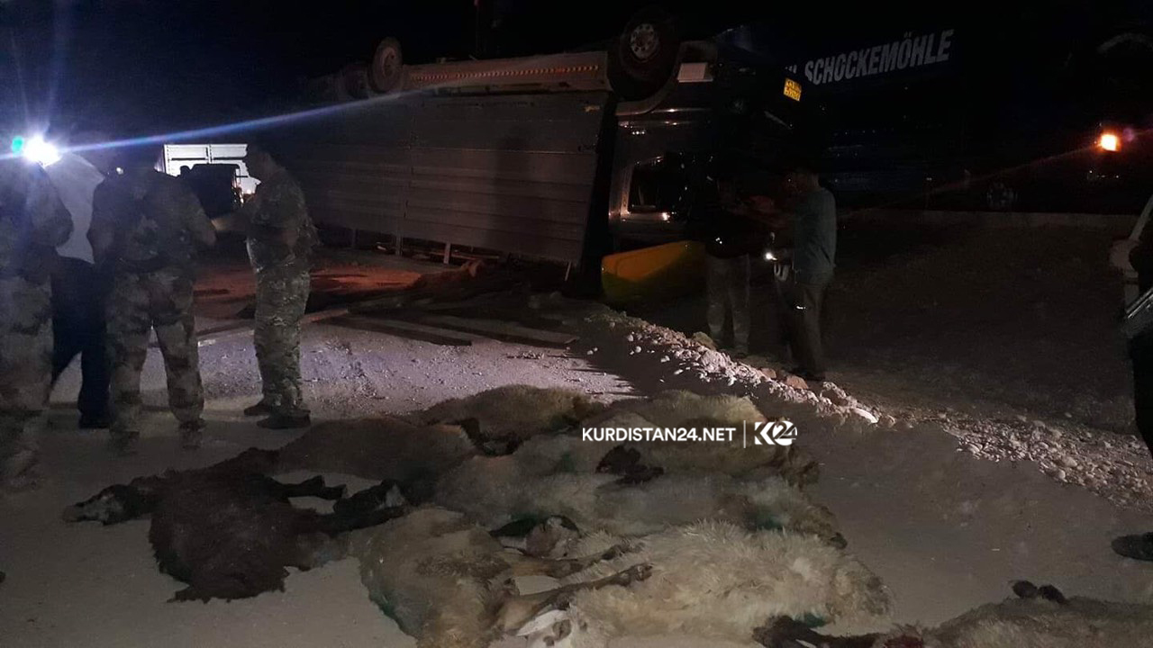 لە رووداوێكی ھاتووچۆدا لە گەرمیان 20 سەر مەڕ مردار بوونەوە