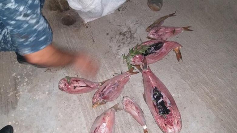 له‌ده‌ربه‌ندیخان به‌ هۆی راوكردنی ماسی به‌ مۆلیده‌ 5 راوچی ده‌ستگیركران
