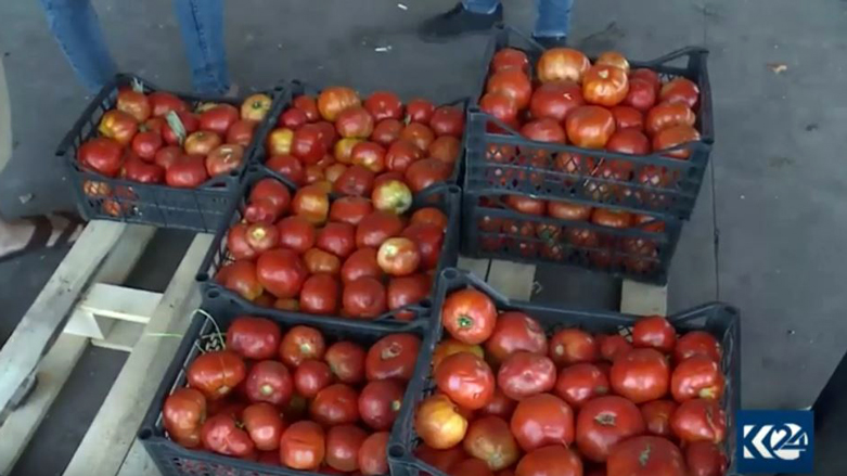 بڕیاری قەدەغەكردنی ھاوردەی تەماتە بۆ ھەرێمی كوردستان دەچێتە واری جێبەجێكردنەوە